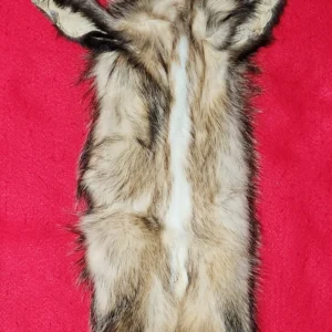 Badger Pelt