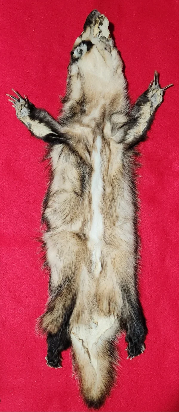 Badger Pelt