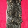 Badger Pelt
