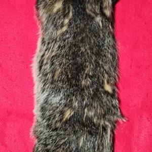 Badger Pelt