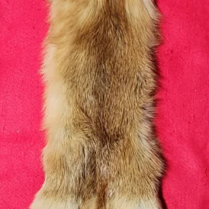 Red Fox Hide