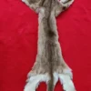 Cougar Hide