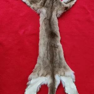 Cougar Hide