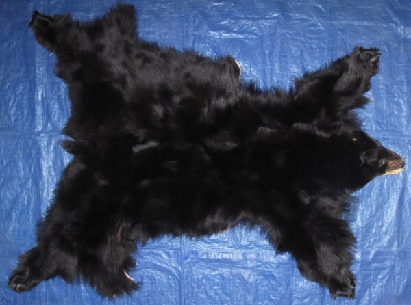 BLACK BEAR FUR