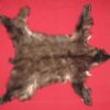 BLACK BEAR FUR