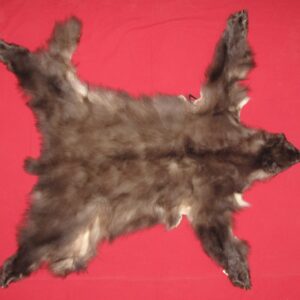 BLACK BEAR FUR