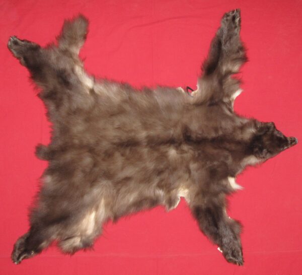 BLACK BEAR FUR