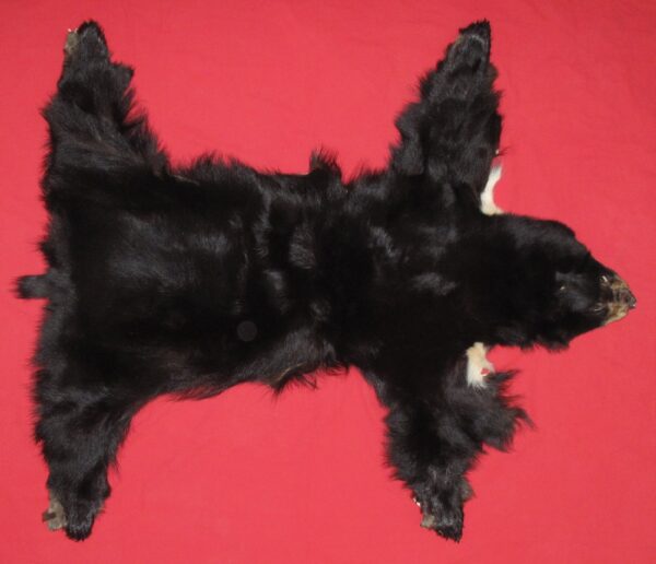 black bear fur