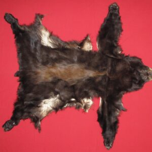 Bear fur