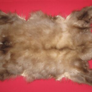 BLACK BEAR FUR