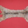 CANADIAN LYNX FUR