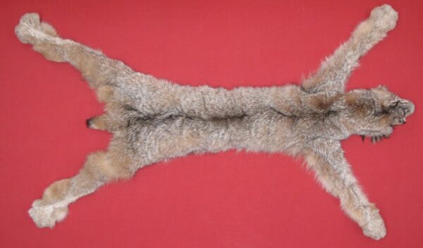 CANADIAN LYNX FUR