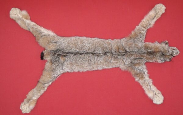 Lynx pelt