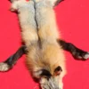 Cross Fox Pelt