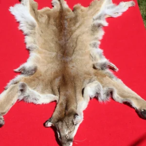 COUGAR FUR