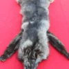 wolf pelt