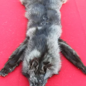 wolf pelt