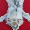 ARCTIC WOLF PELT