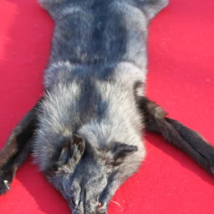 WOLF FUR