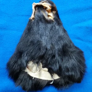 Black Bear Head Pelt