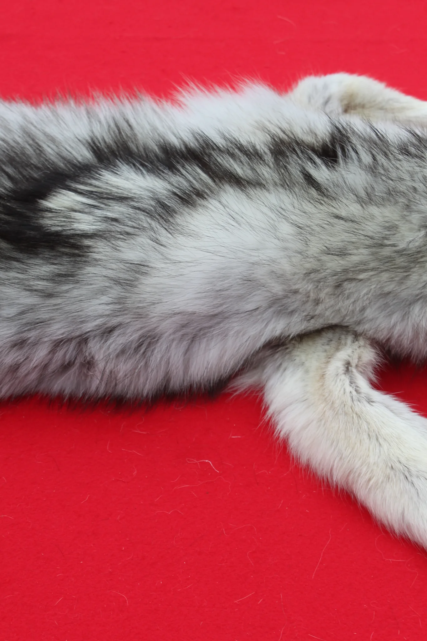 IMG_5956_1024x1024@2x