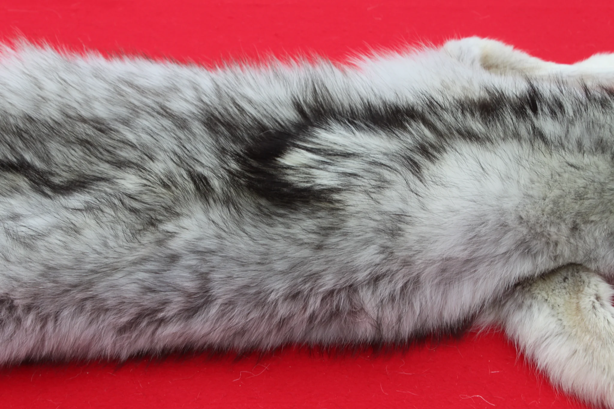 IMG_5957_1024x1024@2x