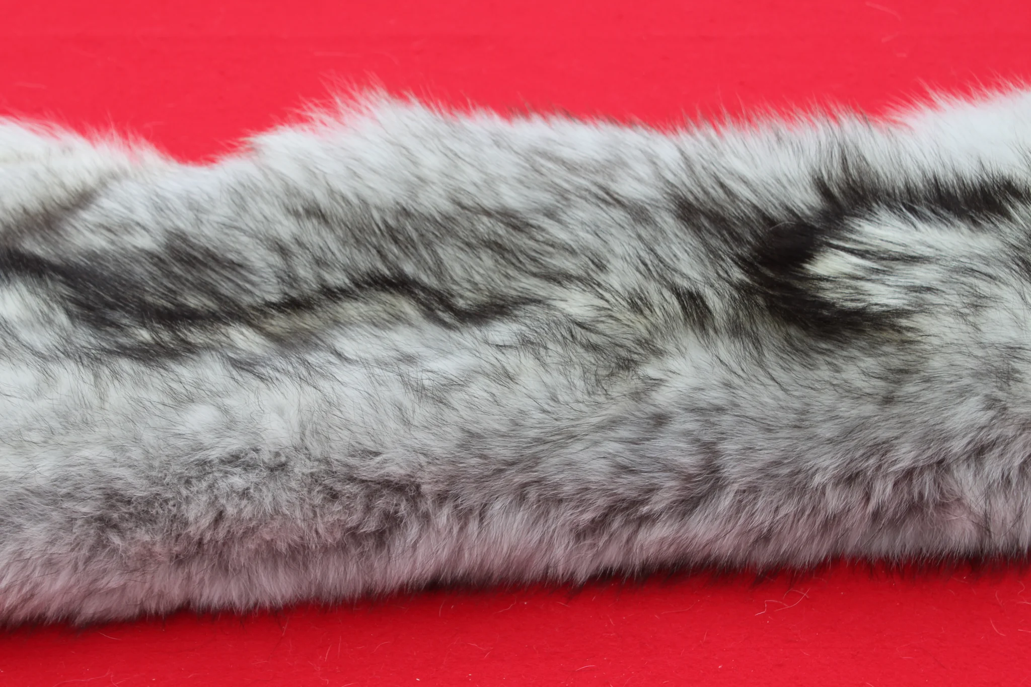 IMG_5958_1024x1024@2x