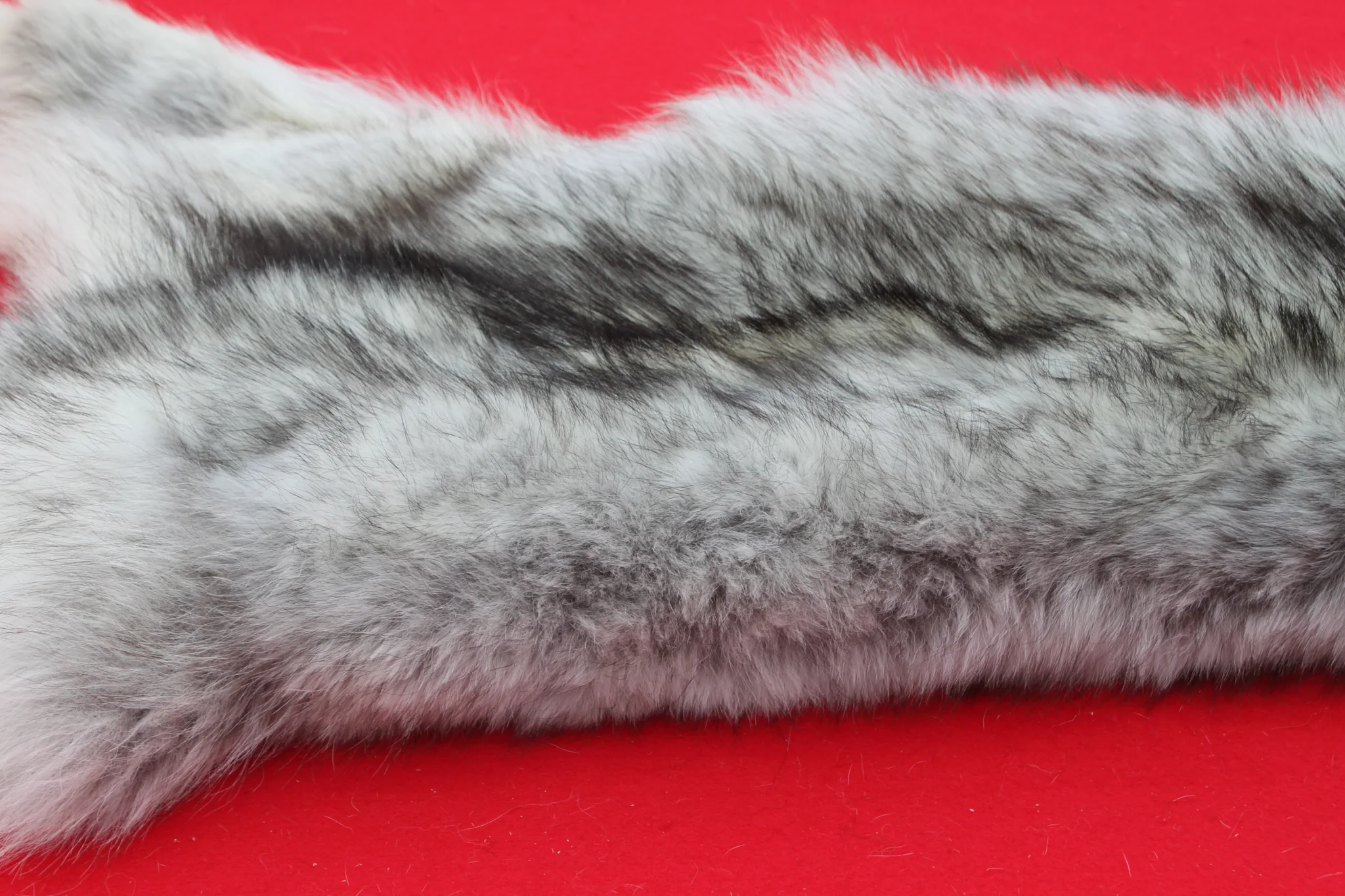 IMG_5959_1024x1024@2x