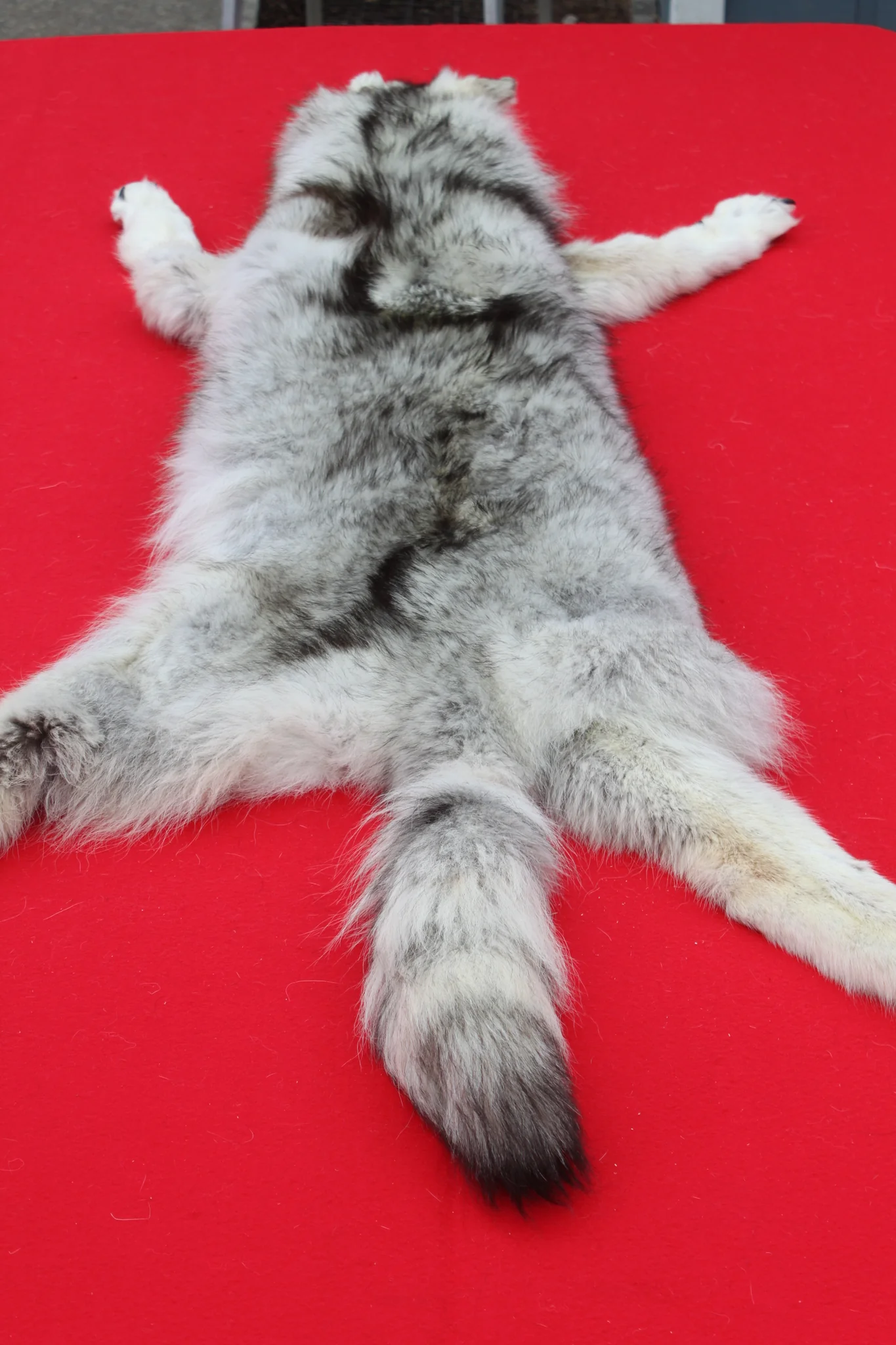 IMG_5961_1024x1024@2x