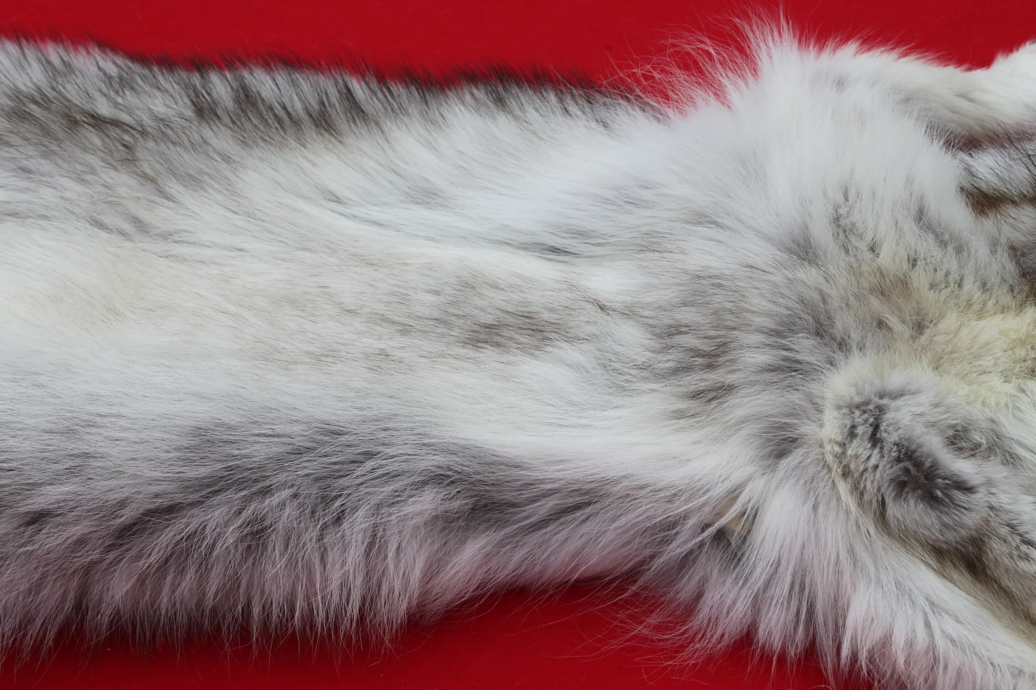 IMG_5966_1024x1024@2x