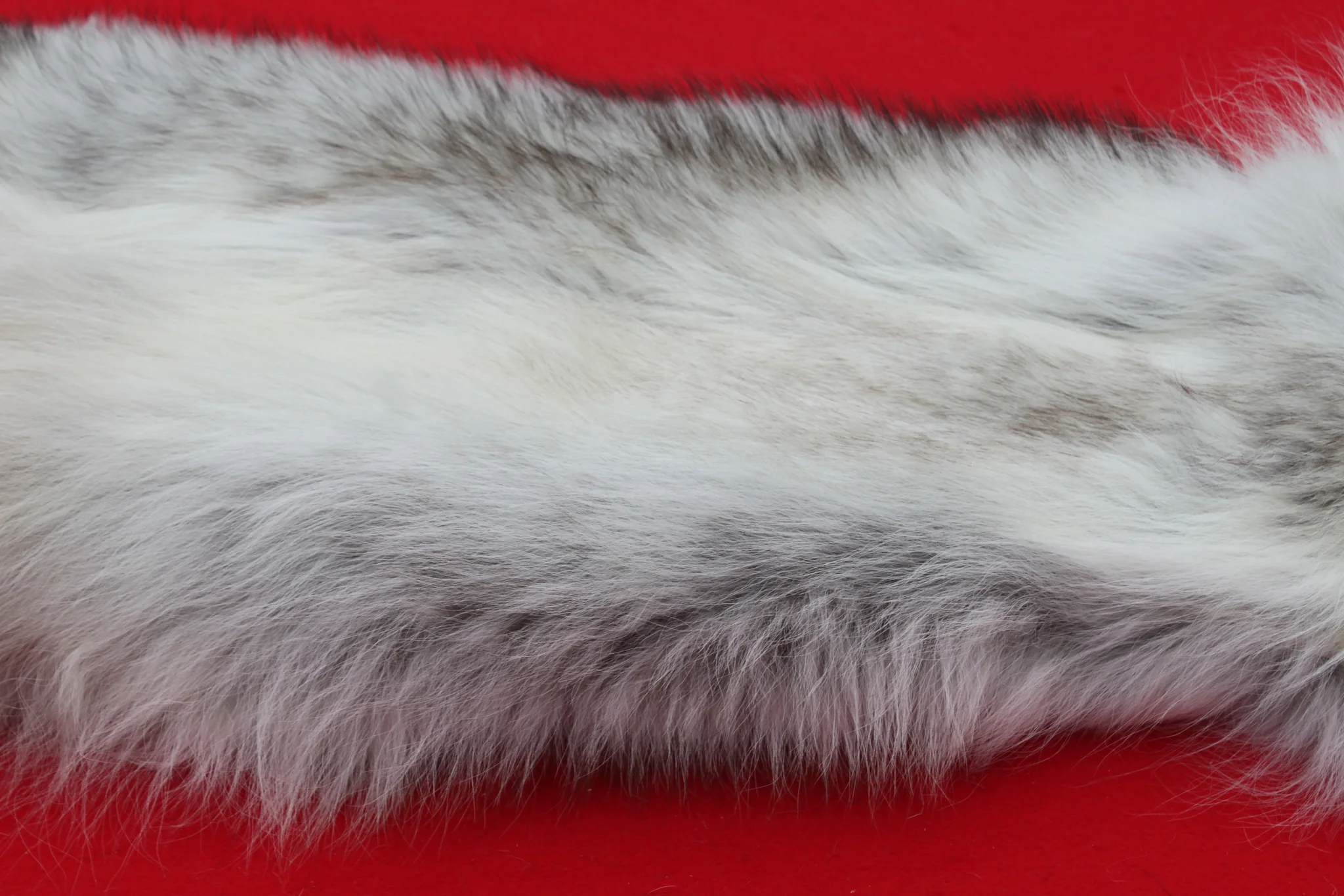 IMG_5967_1024x1024@2x