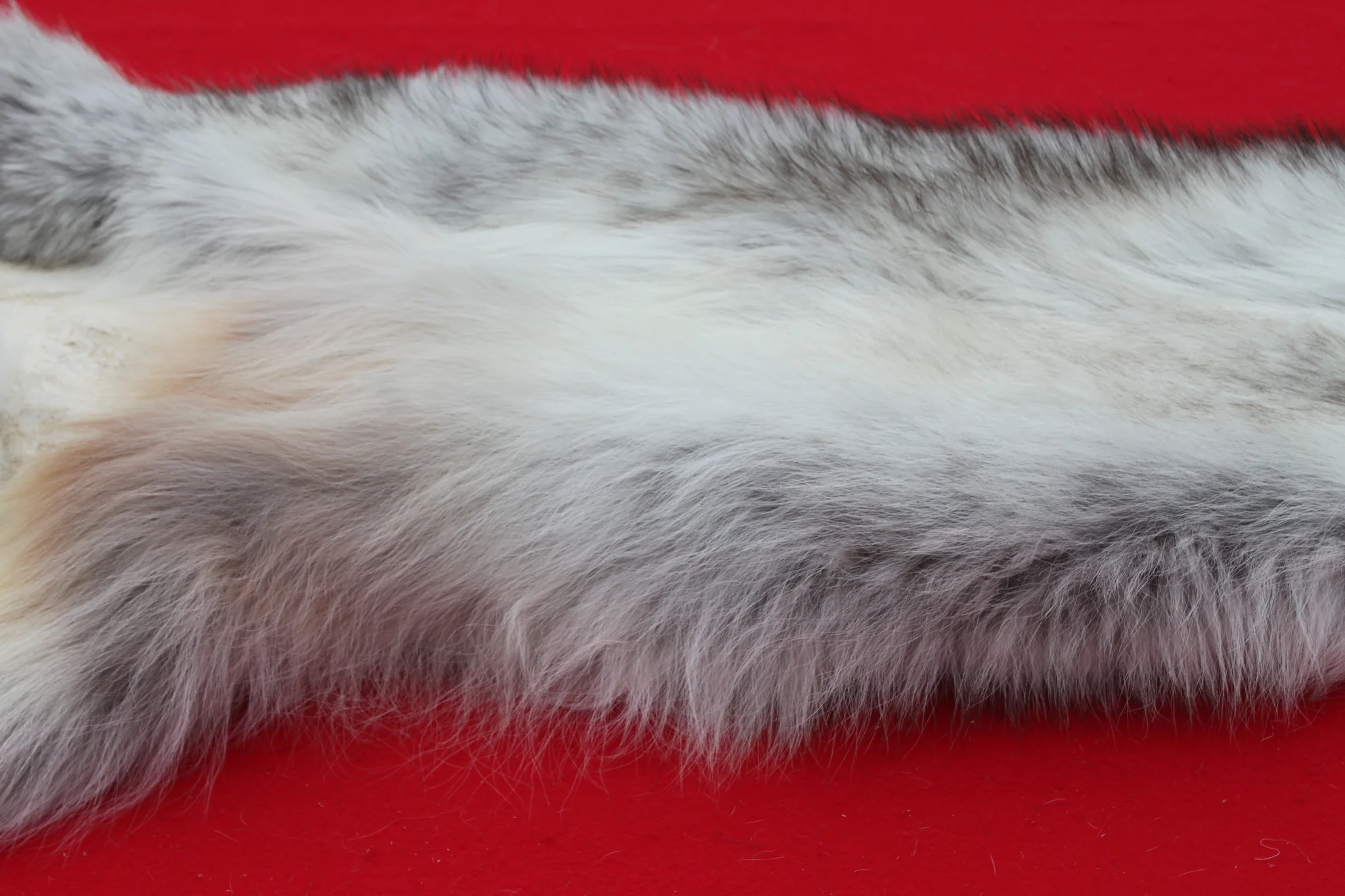 IMG_5968_1024x1024@2x