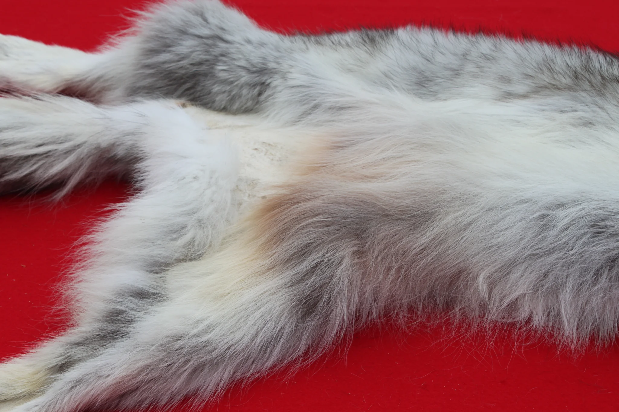 IMG_5969_1024x1024@2x