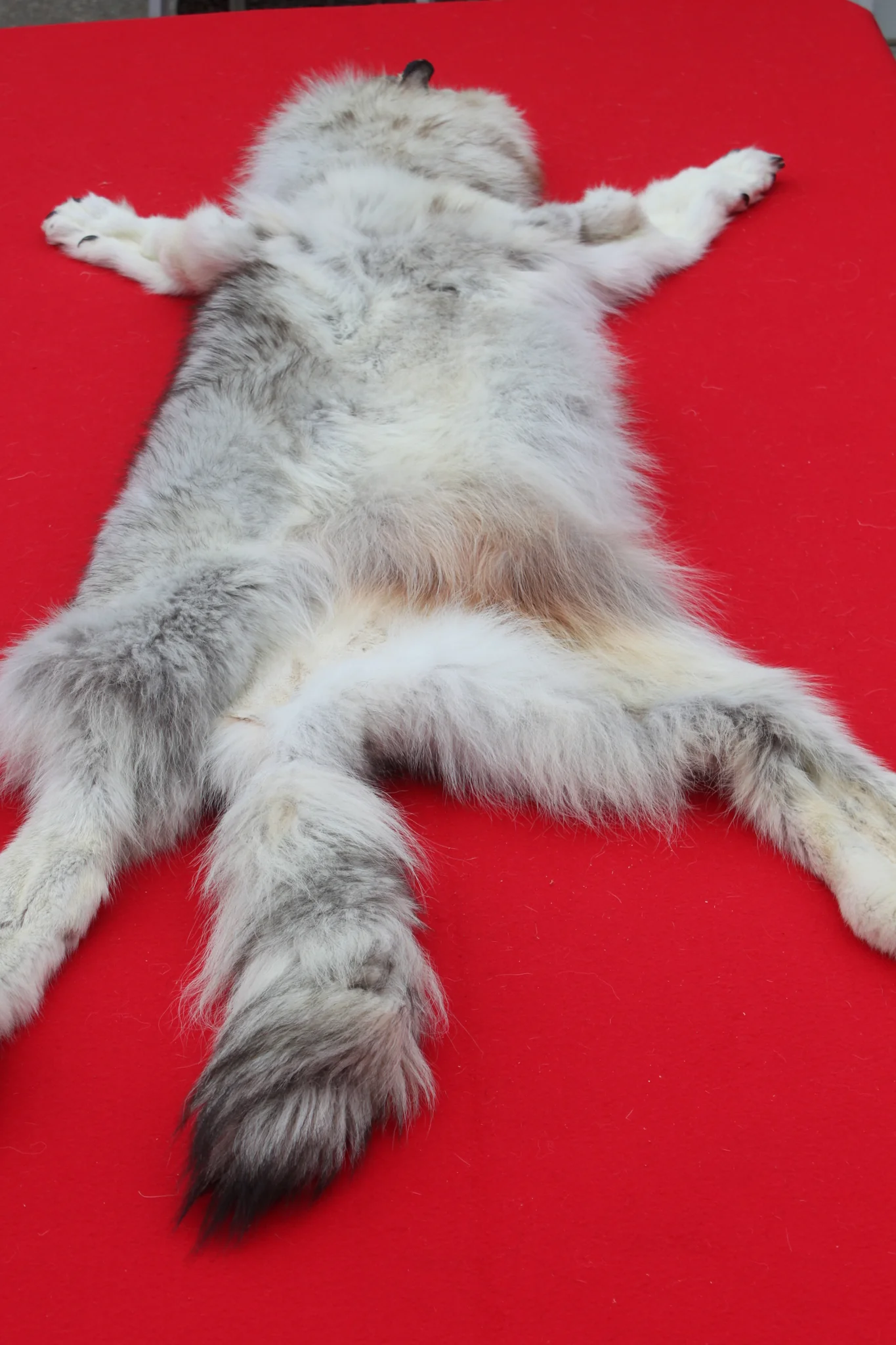 IMG_5971_1024x1024@2x