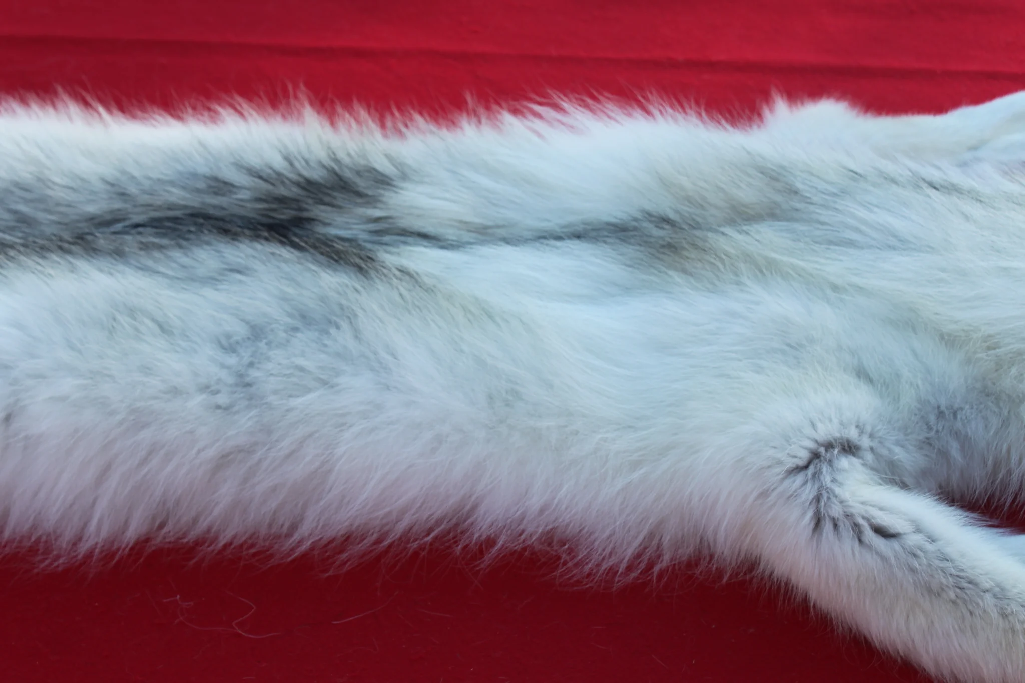 IMG_6014_05f64bed-2491-45a6-9369-c2fda3f1aea8_1024x1024@2x