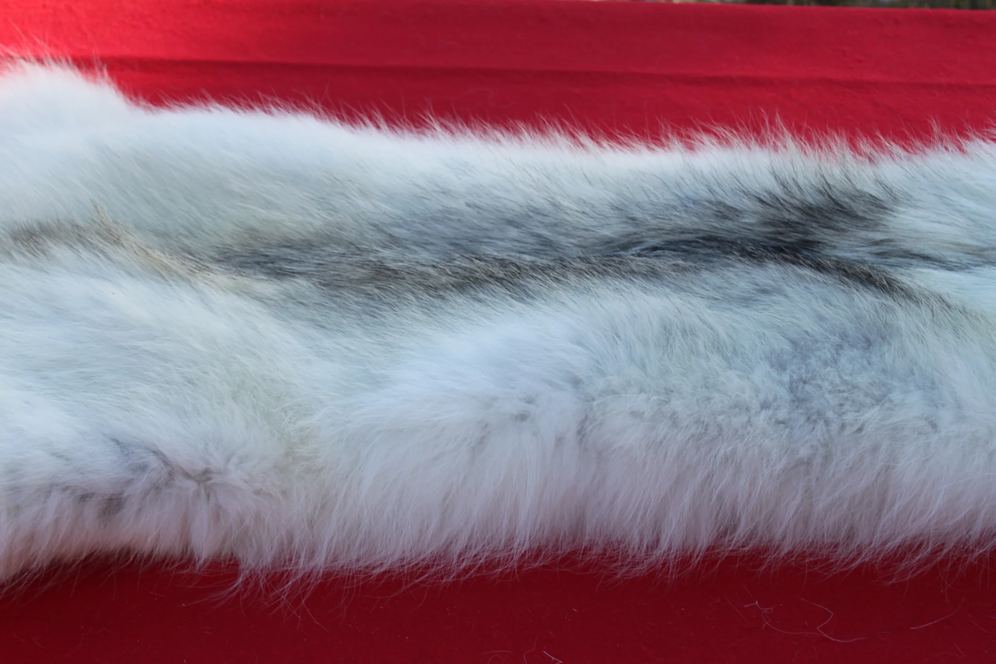 IMG_6015_a3b0da80-ec08-4272-a248-ca4eeb78e436_1024x1024@2x