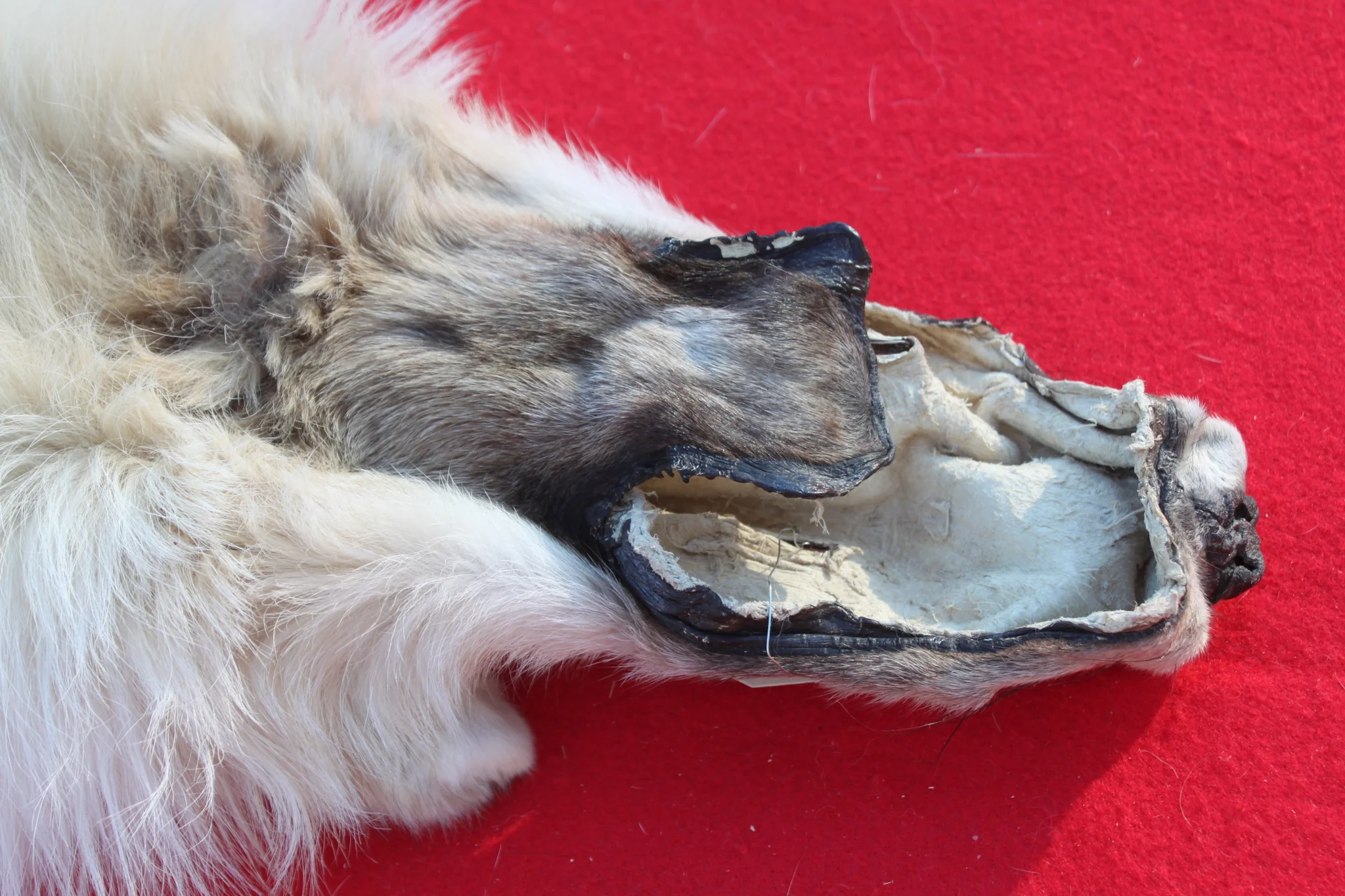 IMG_6020_1024x1024@2x