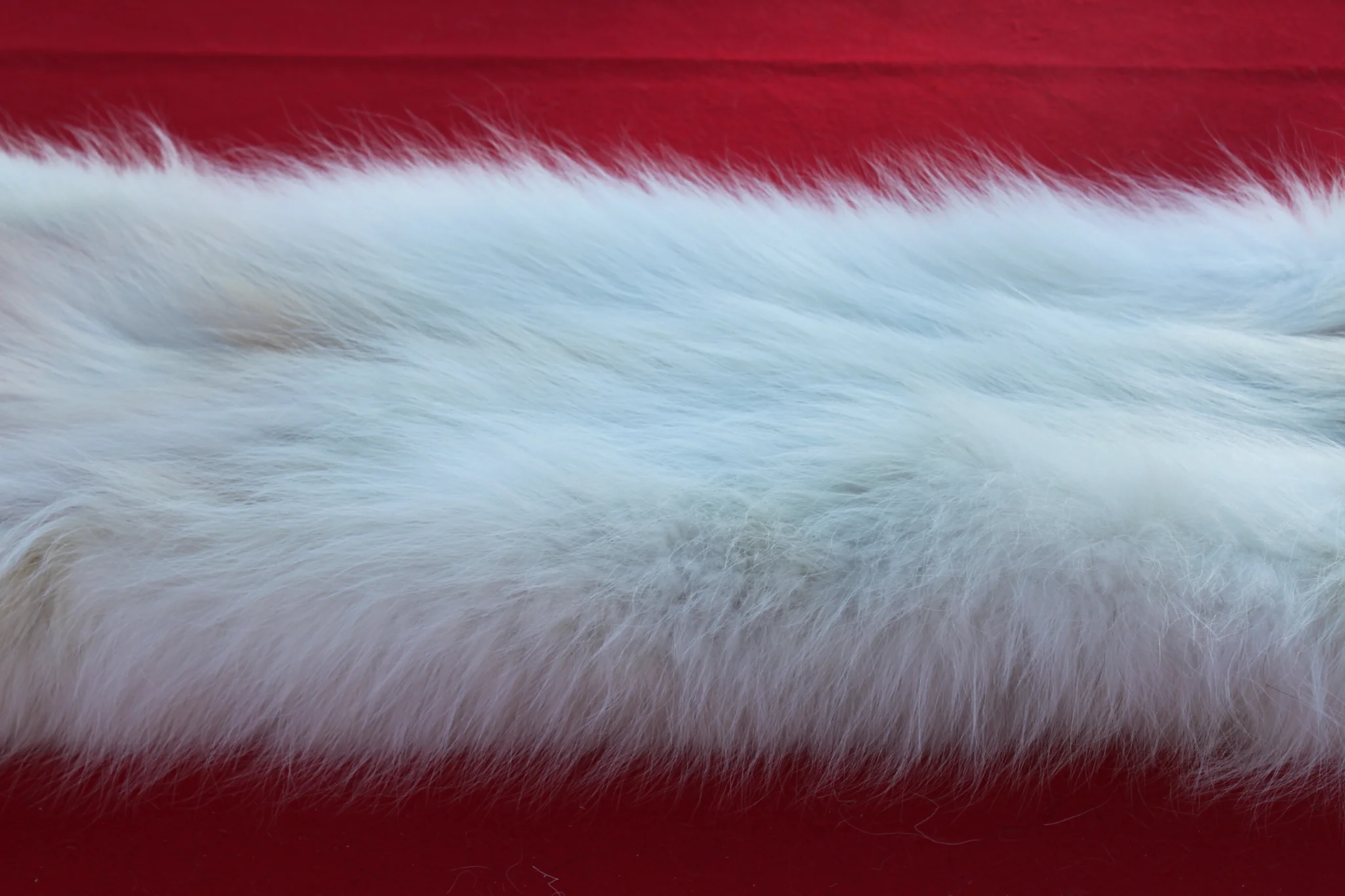 IMG_6023_1024x1024@2x