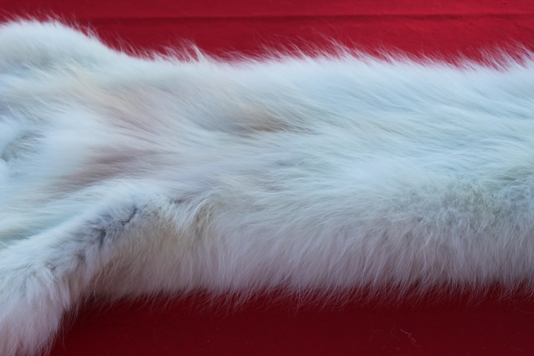 IMG_6024_1024x1024@2x