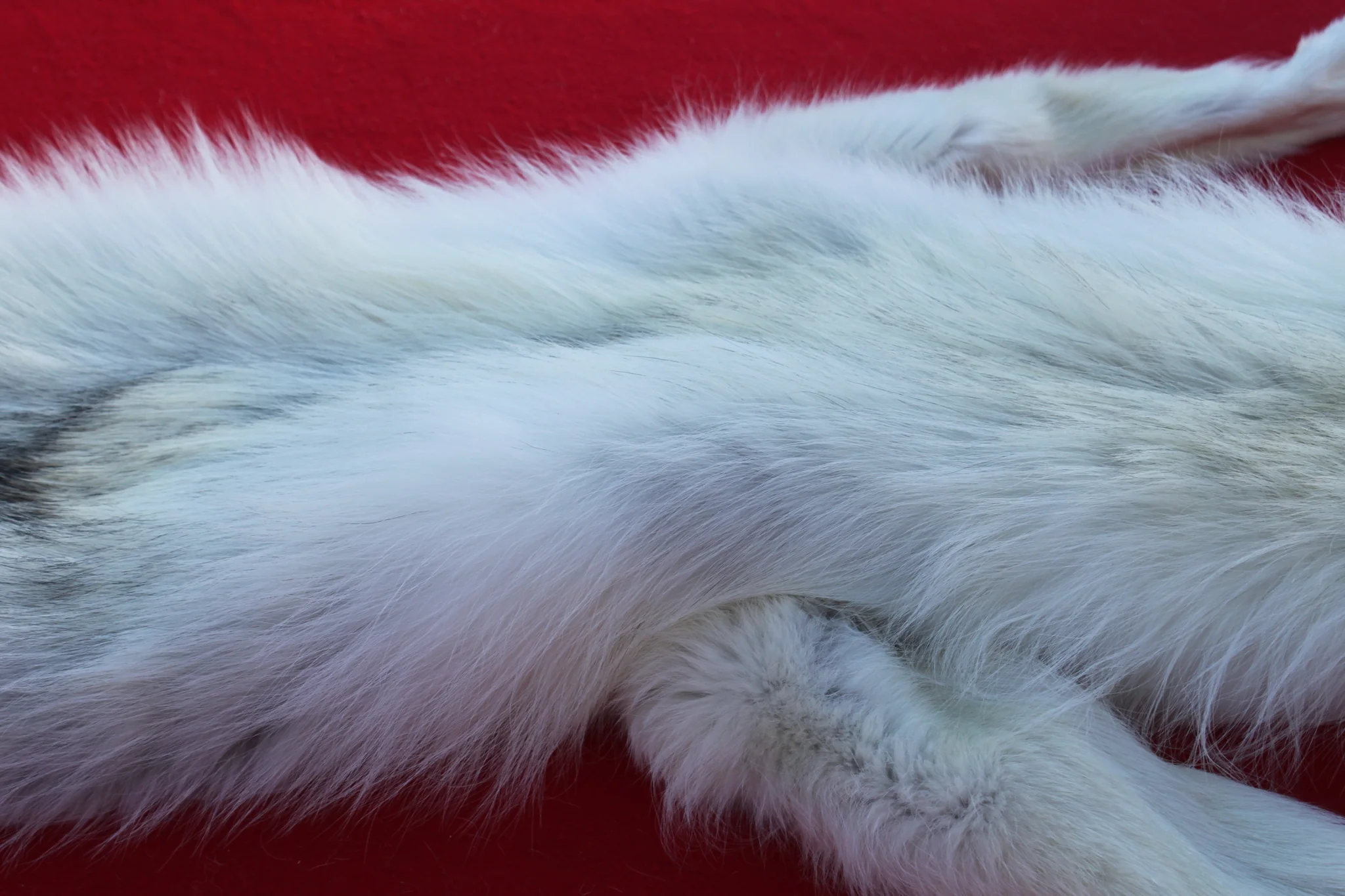 IMG_6086_4fef104e-0d69-4e42-ac5b-8ae0bf59a948_1024x1024@2x