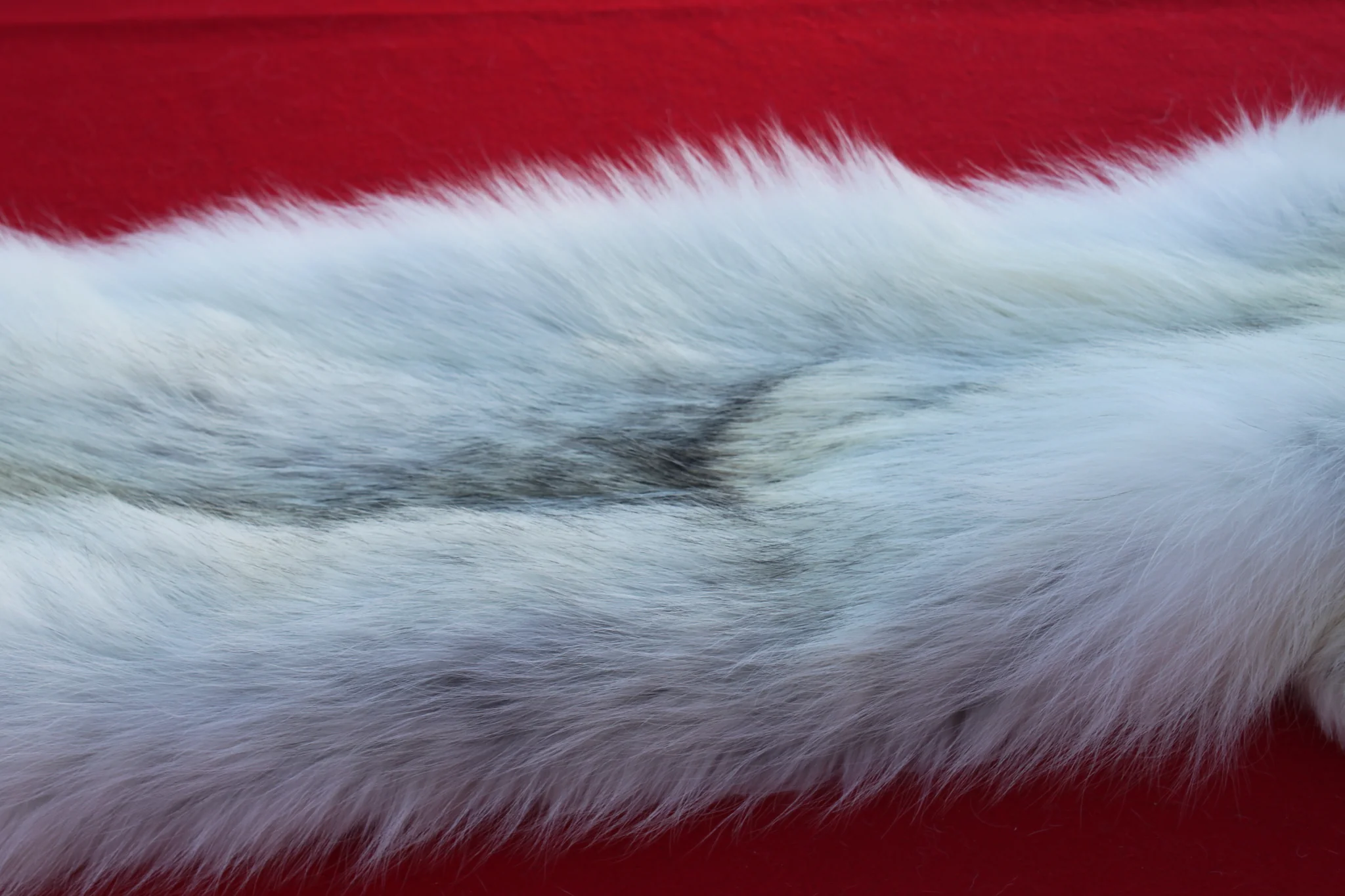 IMG_6087_ee4786e6-3979-434d-913d-290f6e5f64ad_1024x1024@2x