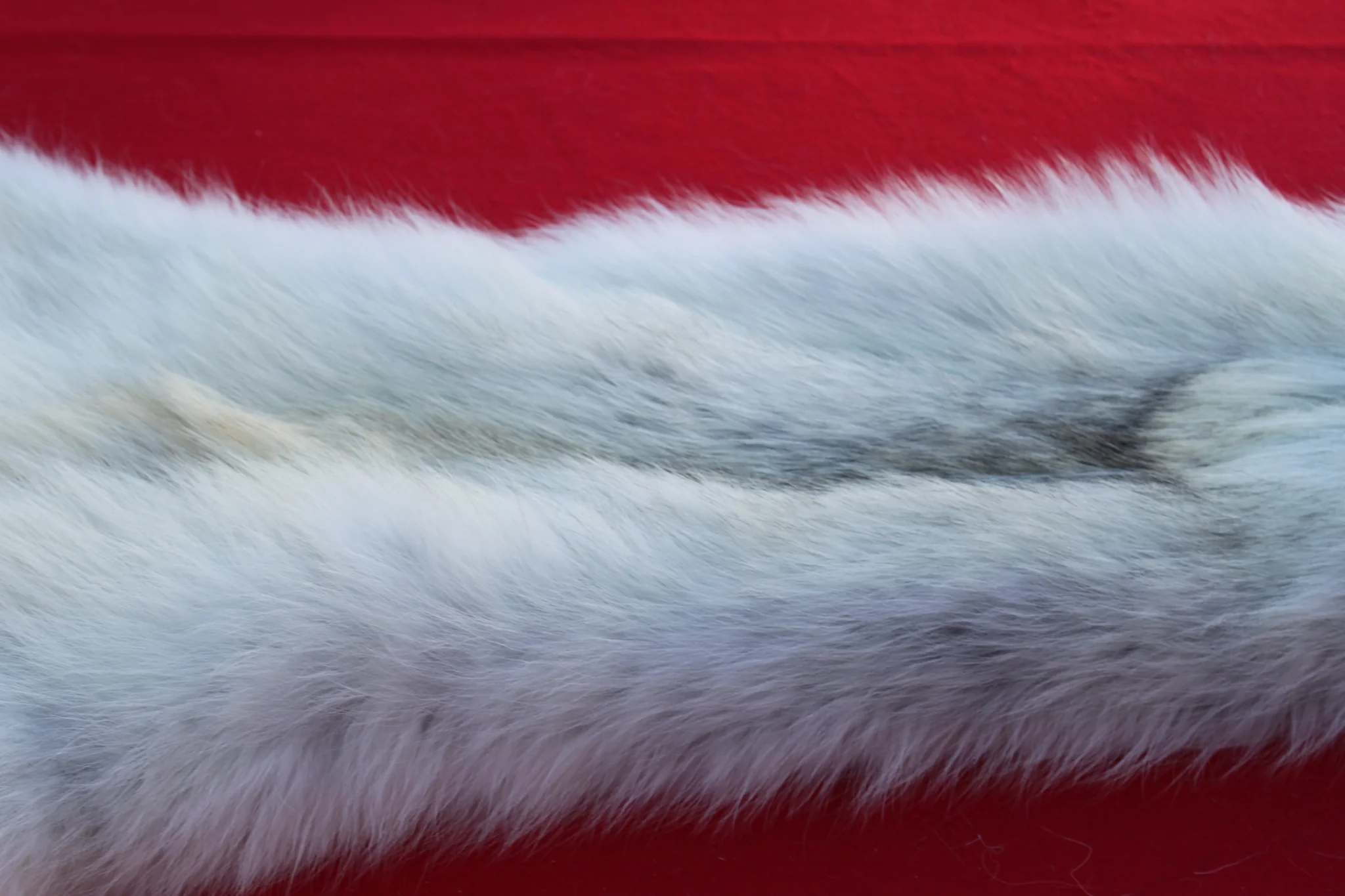 IMG_6088_c8e429d4-5497-4f9d-bf80-a37ca4c4d9fd_1024x1024@2x