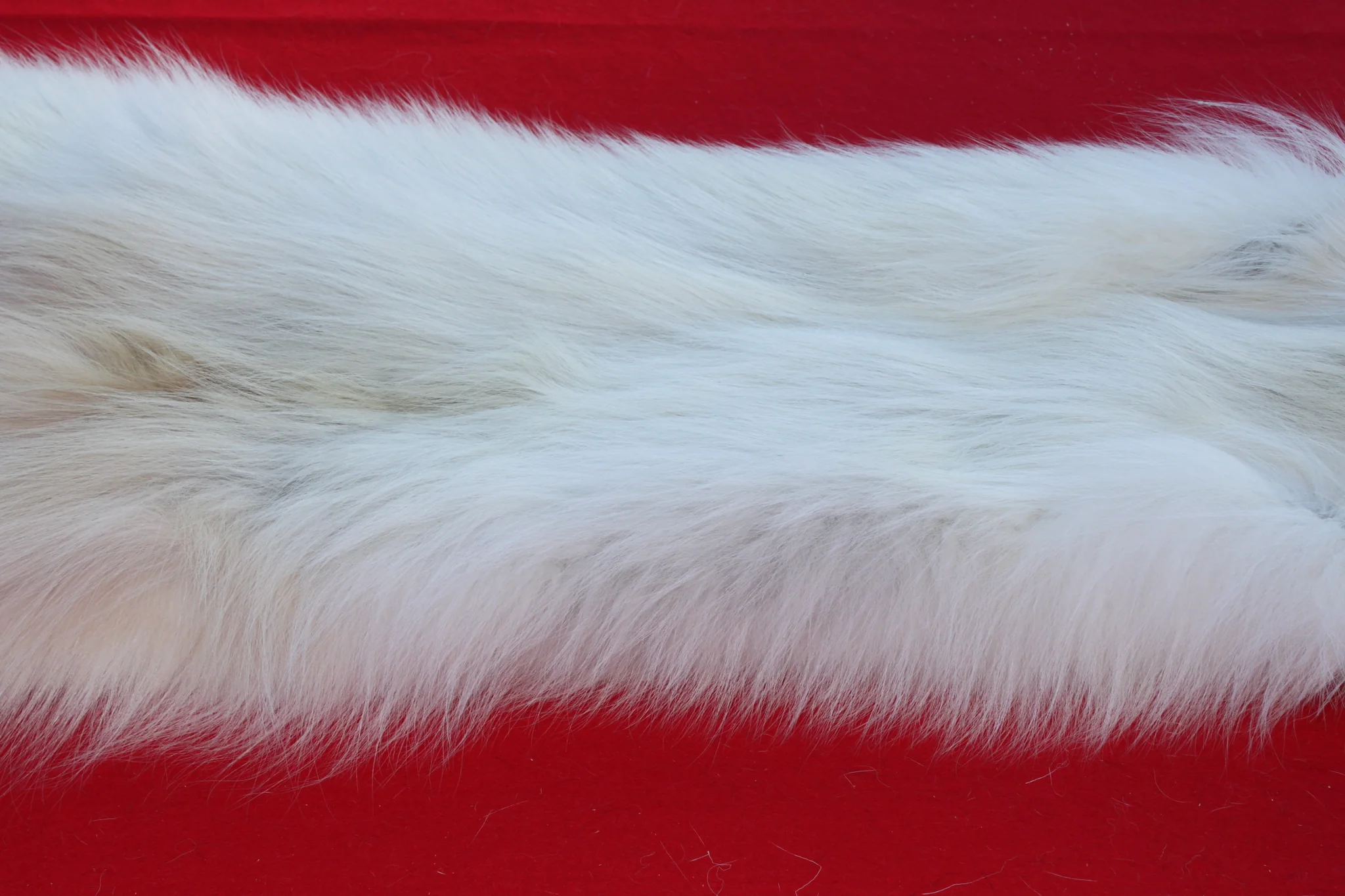 IMG_6097_351e337f-353d-470b-bc17-289e559625a4_1024x1024@2x