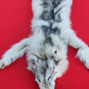 WOLF FUR HIDE