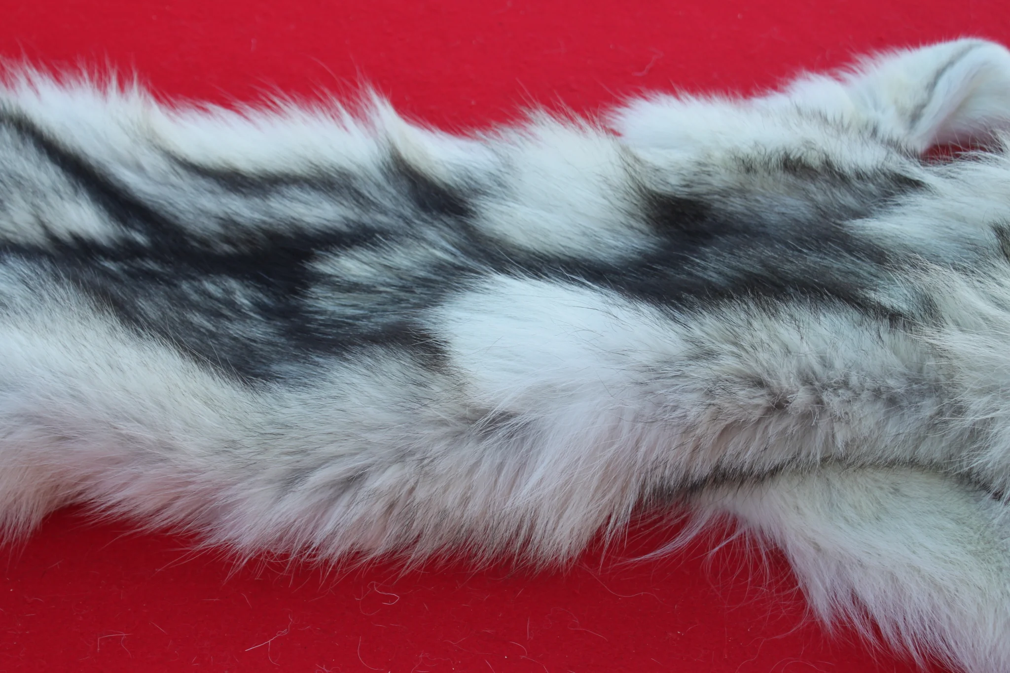 IMG_6105_7949bd12-e656-4f1b-8b83-01b873c396ec_1024x1024@2x