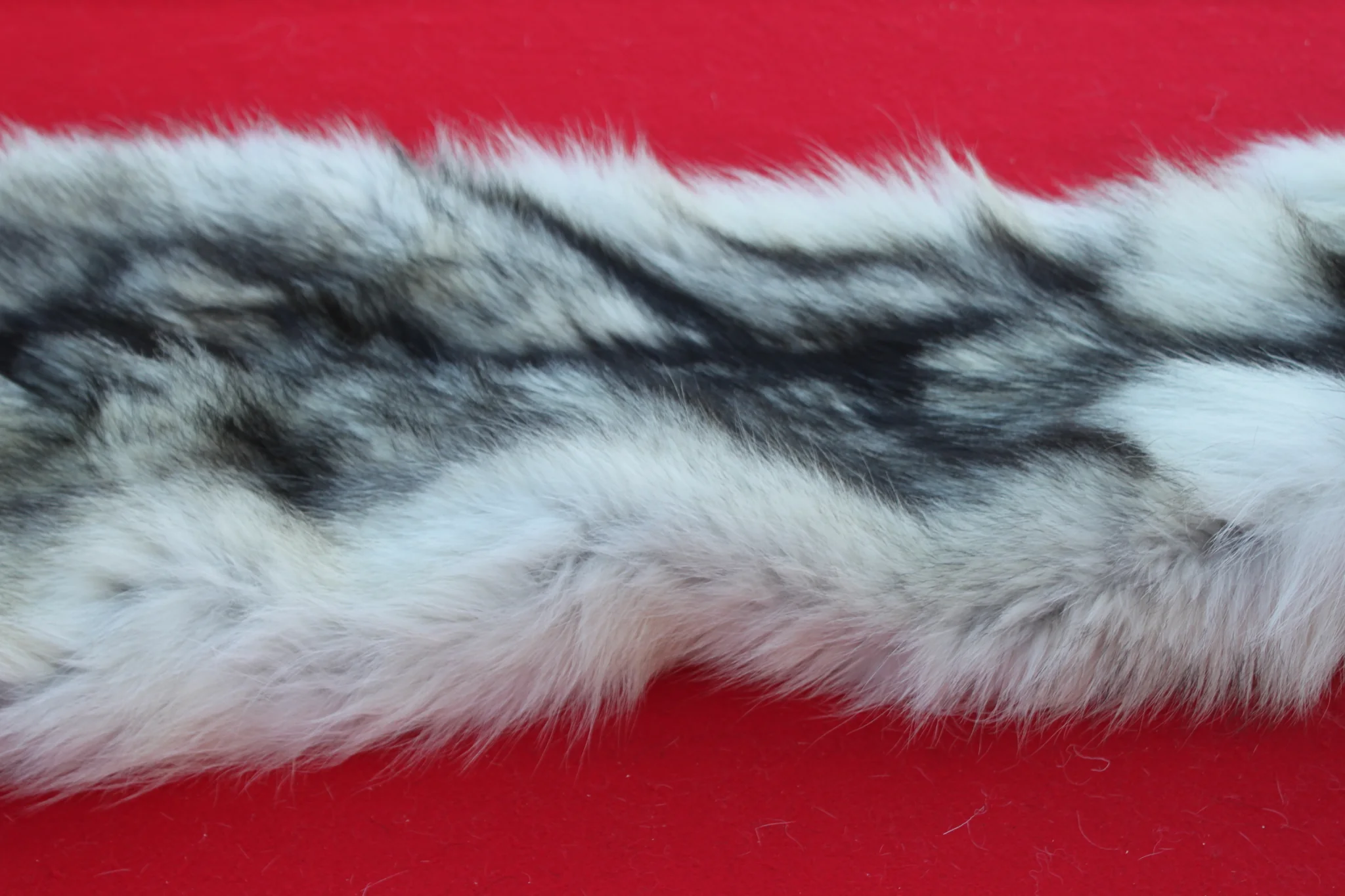 IMG_6106_f9301b03-7ae0-4f05-b0a2-2ab9f58886f2_1024x1024@2x