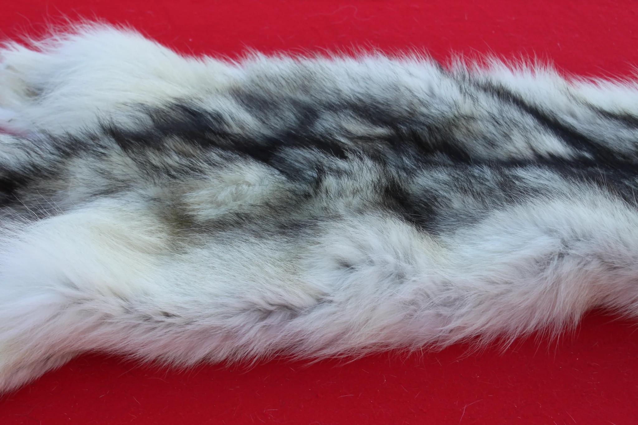 IMG_6107_fa94aec2-9c3d-4e43-94b7-8149f32a967a_1024x1024@2x