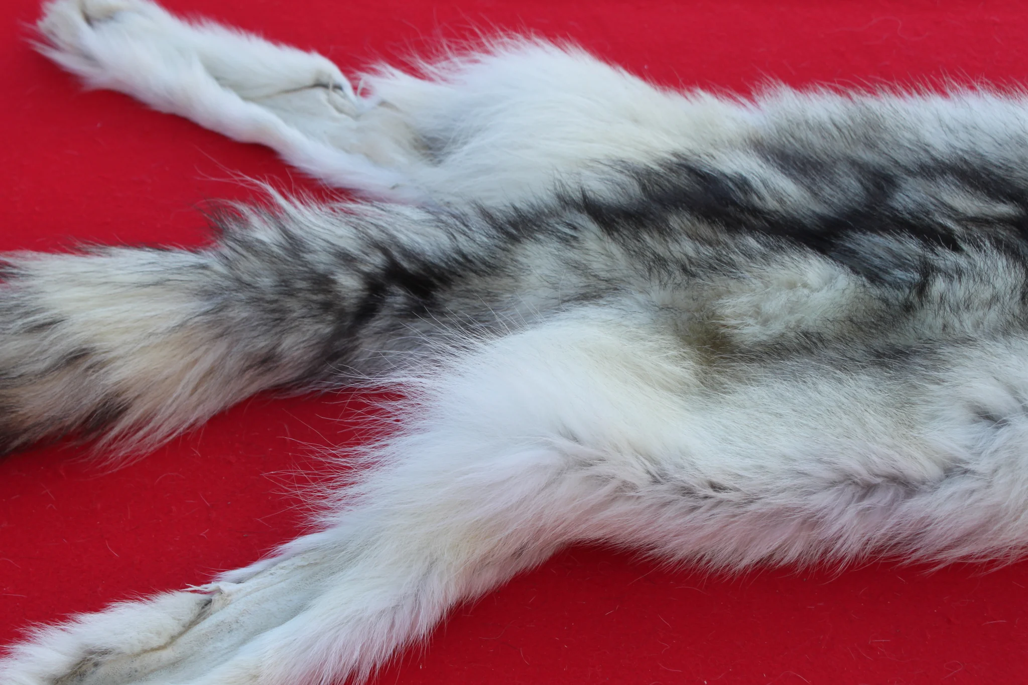 IMG_6108_eb70cce7-c6ea-4cce-b1f2-8c74418dc9f6_1024x1024@2x