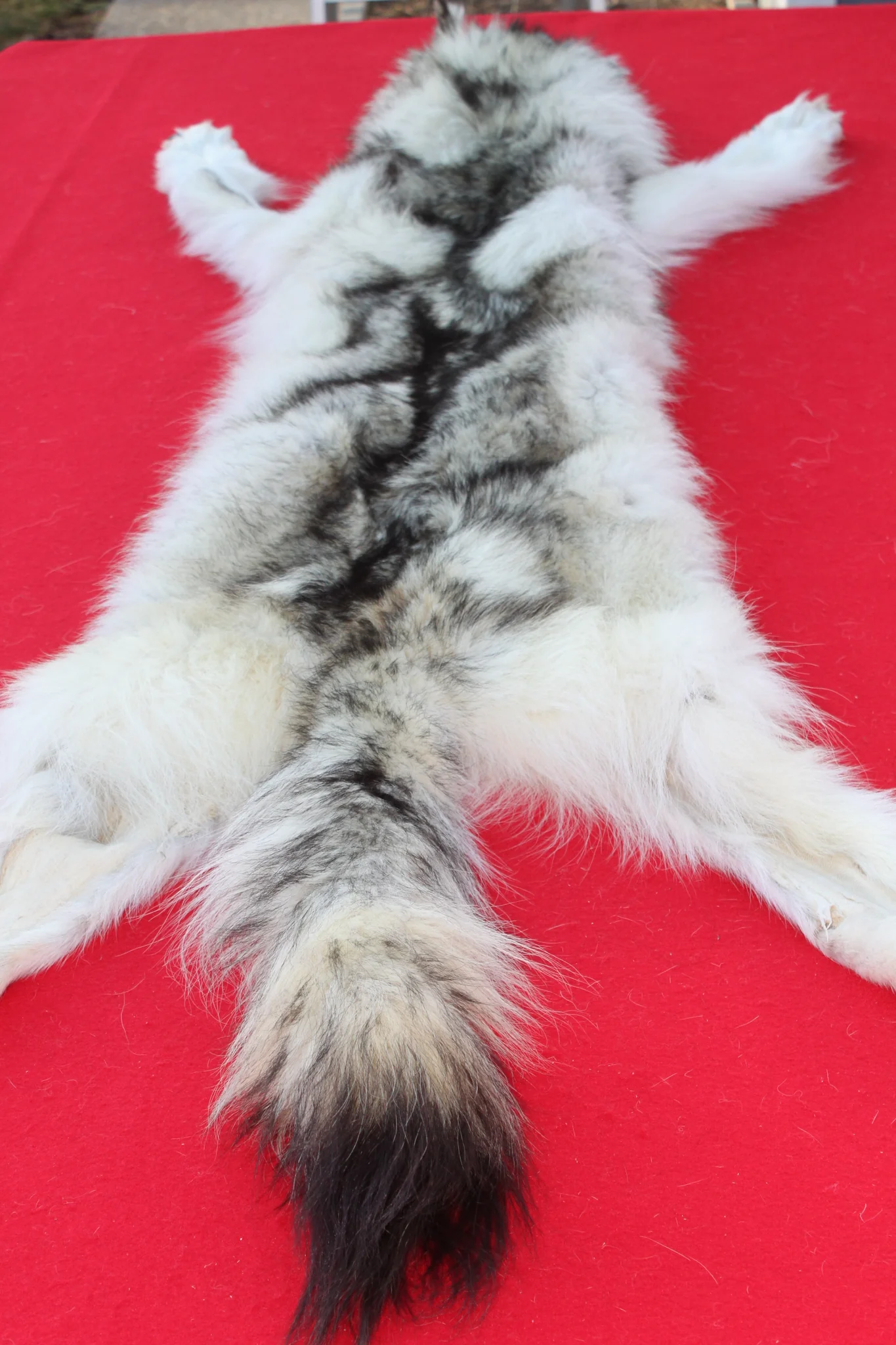 IMG_6110_932cb8e1-4bf0-43cb-8939-f1b2fda2beda_1024x1024@2x