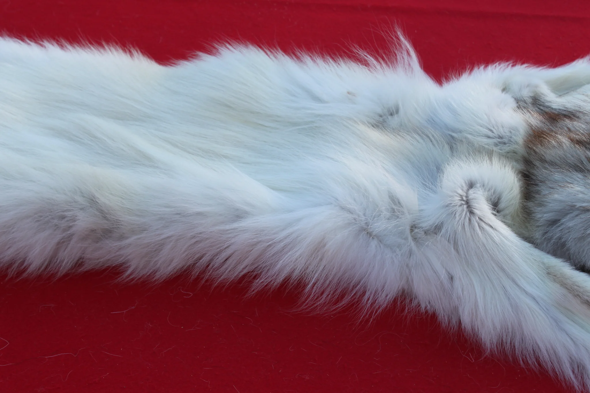 IMG_6114_62cf1df4-220a-44cc-ad0b-f30a625a365e_1024x1024@2x